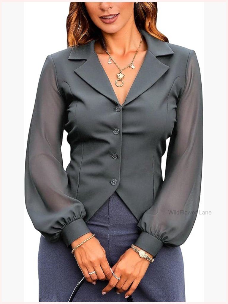 Elegant Mesh Lantern Long Sleeve Blouse Button Down Sheer Shirt Work Tops